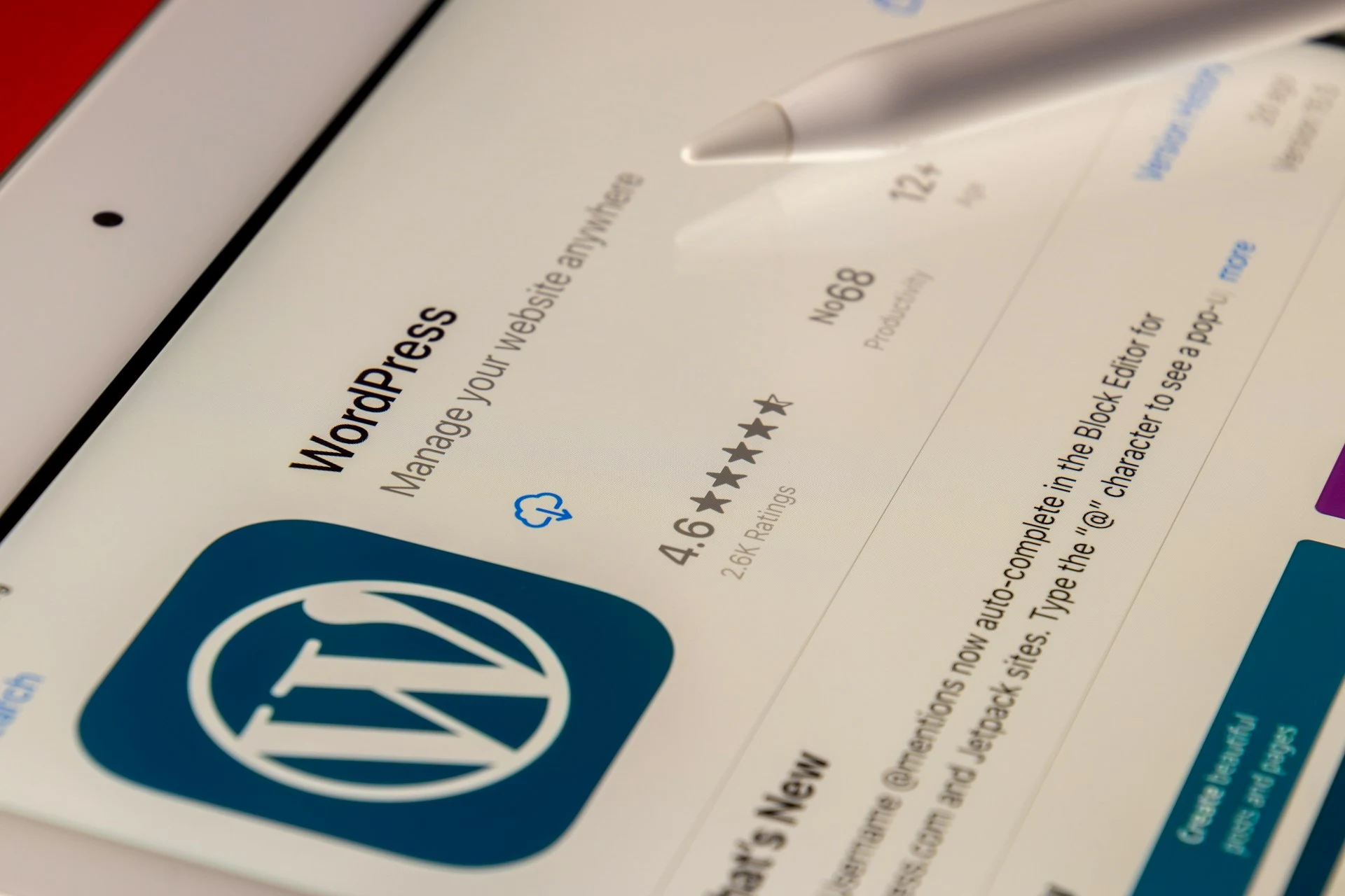 De ce se încarcă greu un site WordPress și cum identifici cauza